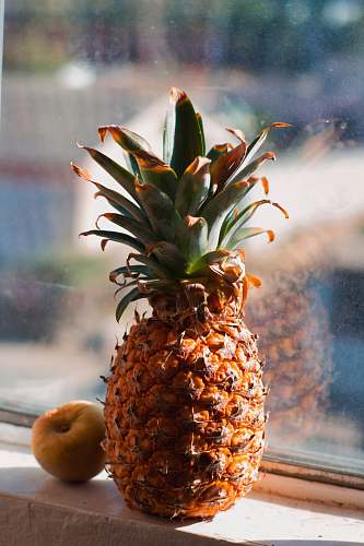 fruit pineapple fruit beside apple fruit pineapple