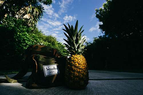 fruit pineapple fruit beside Herschel crossbody bag on gray concrete road pineapple