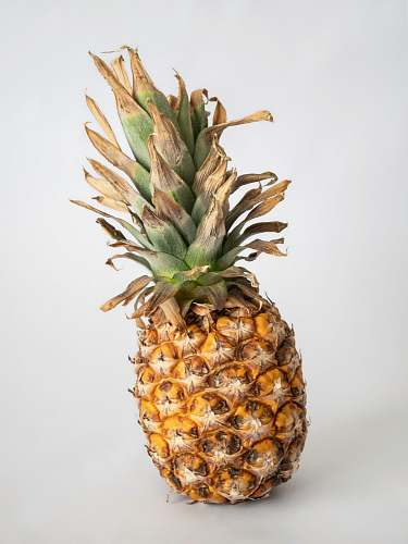 fruit pineapple pineapple