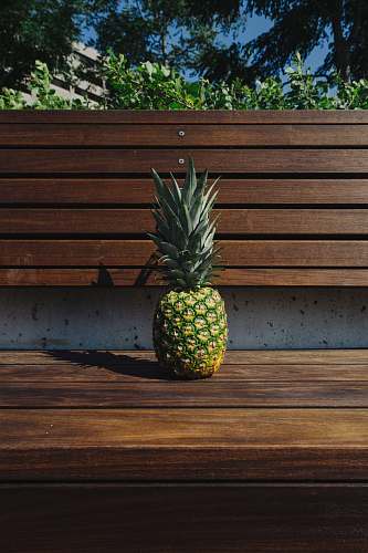 fruit pineapple fruit on bench pineapple