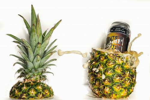 plant pineapple fruit pineapple