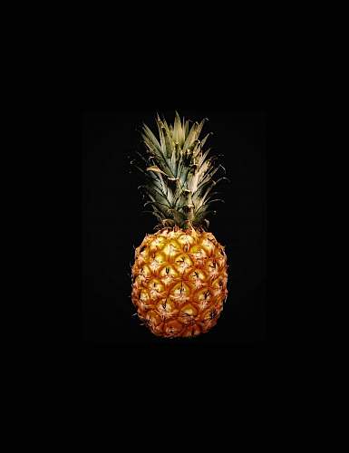 pineapple pineapple fruit screenshot plant