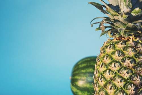 fruit pineapple with watermelon on the background watermelon