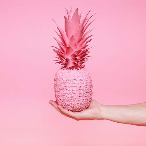 fruit pink pineapple fruit pineapple
