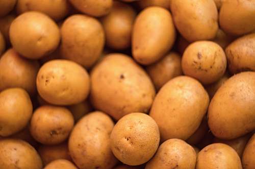 potato potato vegetables plant