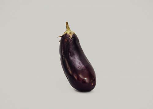 eggplant purple eggplant against white background vegetable