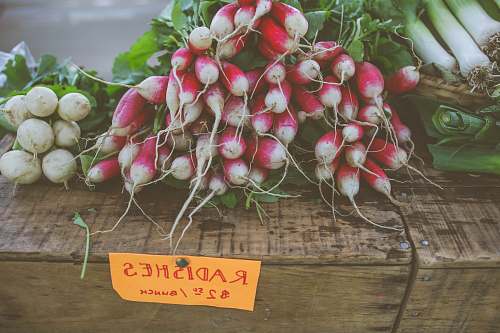 radish radishes on brown wooden box vegetable