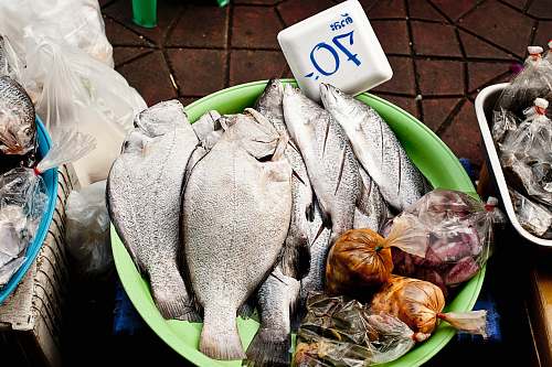 fish raw meat on green plastic container market