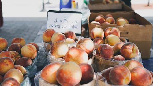 peach red and white fruits lot on basket flora