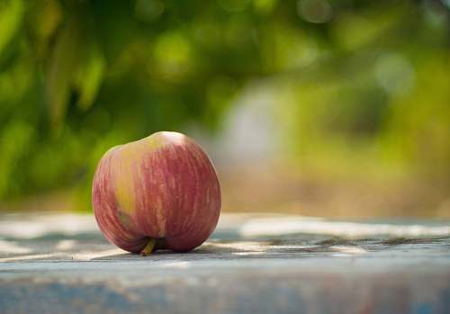 fruit red apple apple