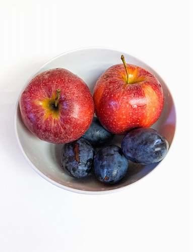 plant red apple fruits apple