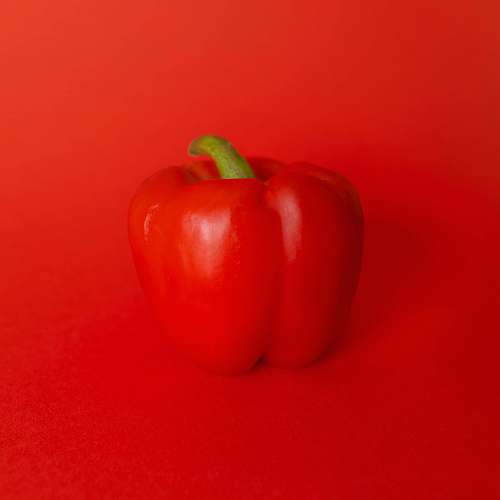 vegetable red bell pepper on red surface pepper