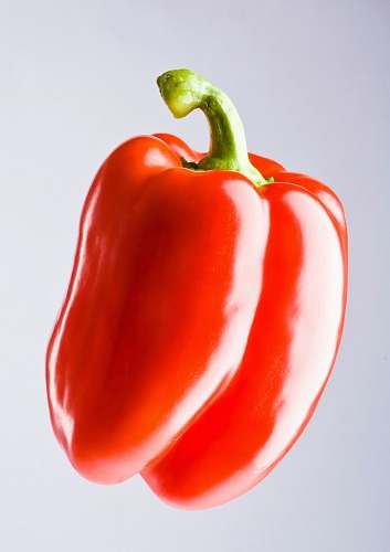 pepper red bell pepper vegetable