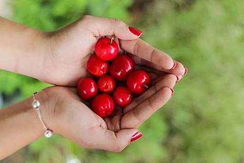 fruit red berries on person's hands cherry