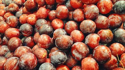 fruit red berries photo plum