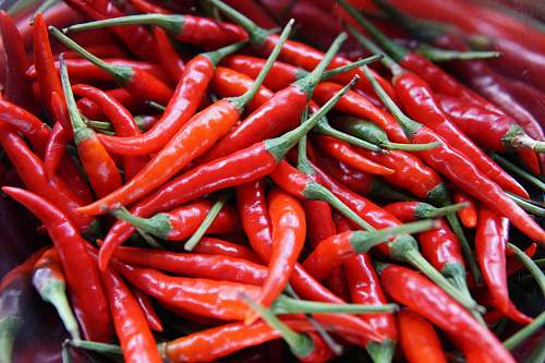 pepper red chili peppers vegetable