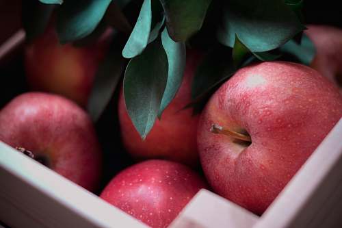 fruit red fruits in basket plant