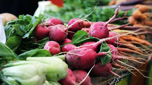 vegetable red raddish on table radish