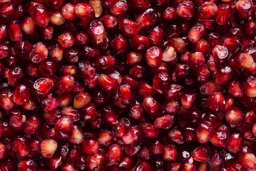 fruit red seeds plant