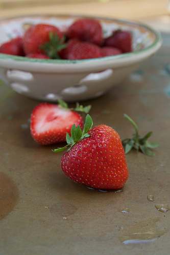plant red strawberries fruit