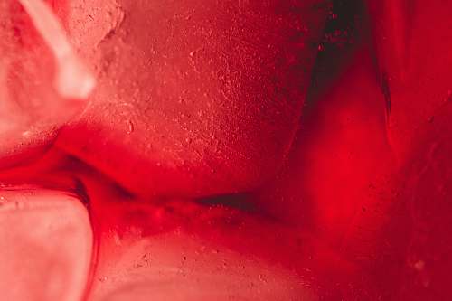 sweets red textile confectionery