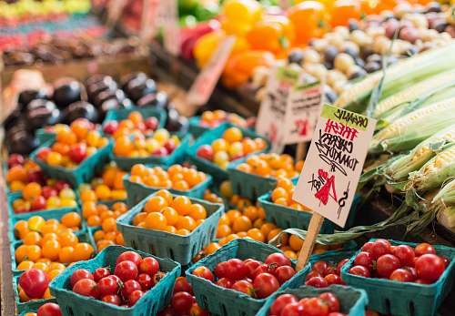 produce red tomato lot on blue baskets market