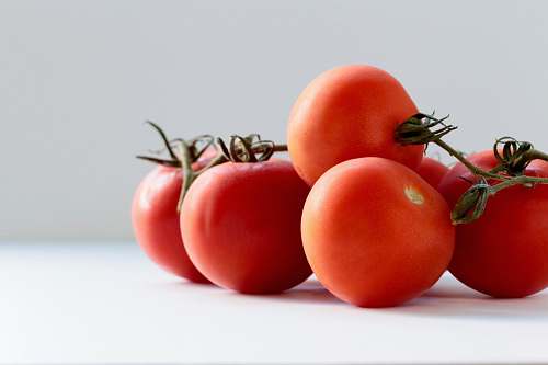 flora red tomato on white surface tomato
