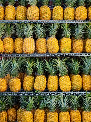 plant ripe pineapple fruits on shelf pineapple