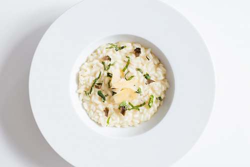 meal risotto on white ceramic plate white