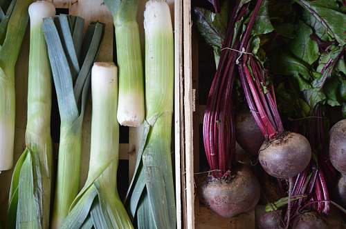 plant root crop and scallion collage produce