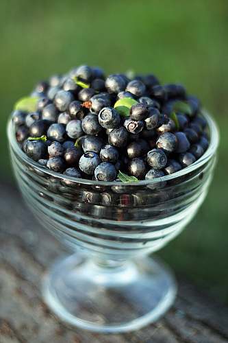fruit round black fruits close-up photography blueberry