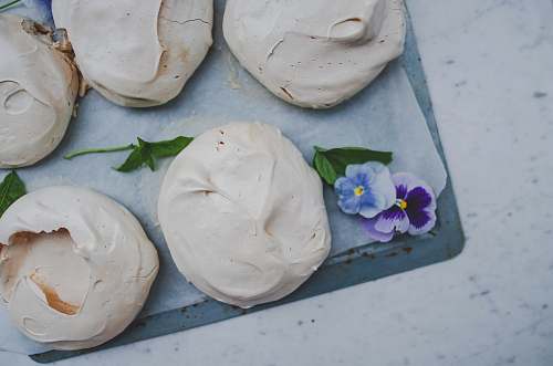 flower round pastries dessert