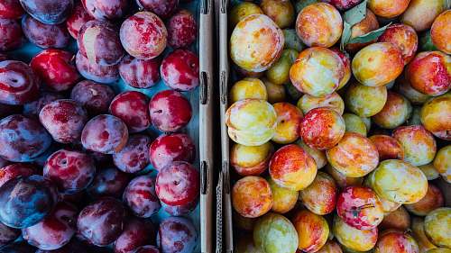 fruit round red, yellow, and green fruits plum