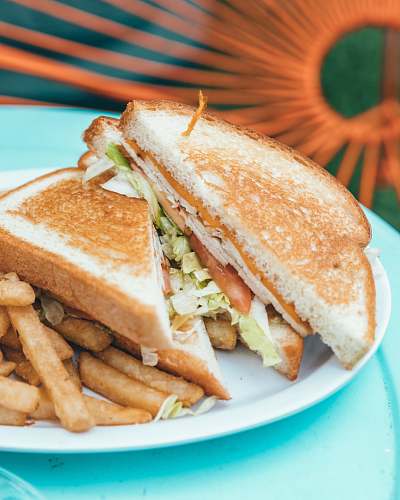burger sandwich and friers dish sandwich