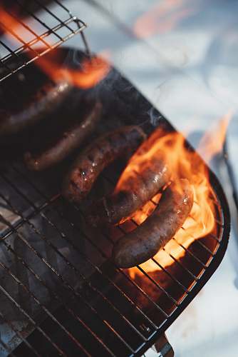 animal sausage grills lobster