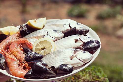 seafood seafoods on round white plate during daytime fish