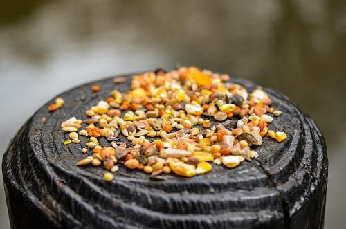 plant seeds on black surface produce