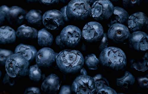 fruit selective focus photography of blue berries blueberry