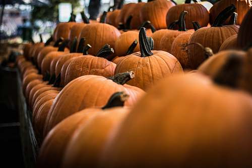 vegetable selective focus photography of pumpkin on shelf pumpkin