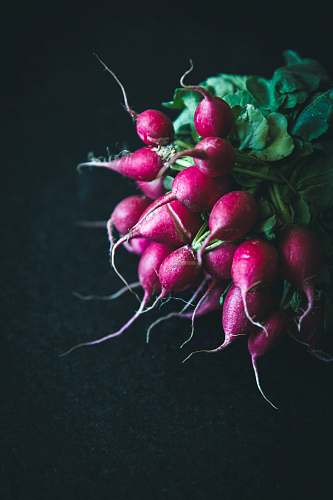 vegetable selective focus photography of red fruits radish
