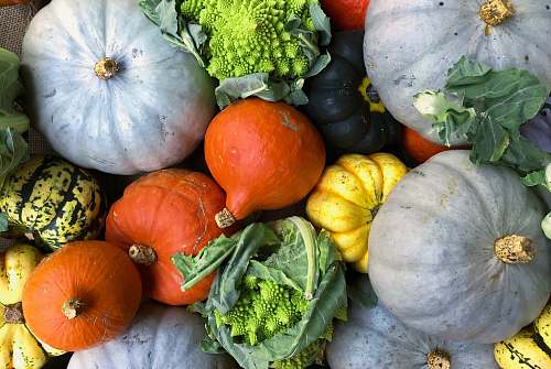 vegetable selective focus photography of vegetables squash