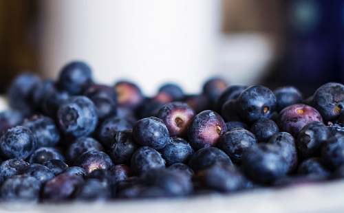 fruit selective photography of blueberries blueberry