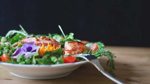 salad serving of salad and fish on white plate eating