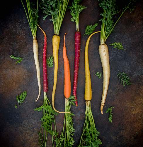 vegetable seven assorted varieties of baby carrots produce