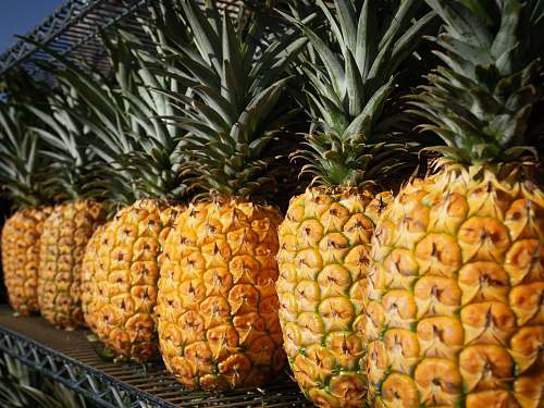 fruit several yellow pineapples pineapple