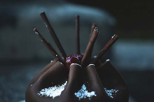 confectionery shallow focus photo of chocolate cake sweets