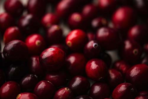 fruit shallow focus photography of red berry lot plant