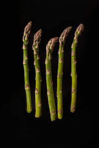 vegetable six green-and-brown asparagus with black background produce