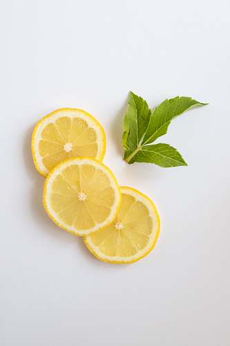 fruit slice of lemon plant
