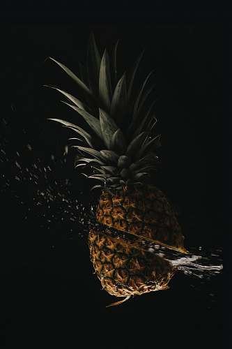 plant sliced pineapple fruit fruit